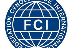 FCI、AKC血统证书解释及意义