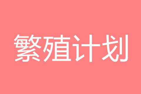 小泰戈犬舍2020年繁殖计划