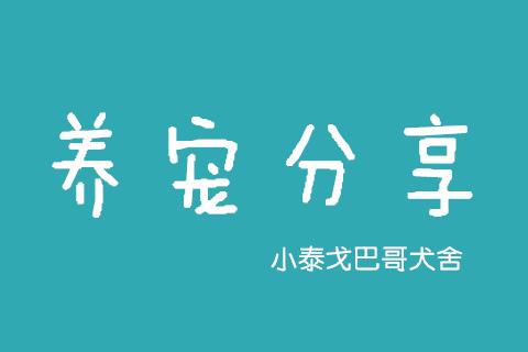 记一次sasa生病