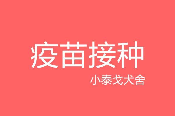 【疫苗接种】2019年8月1日TX1幼犬基础免疫之首免