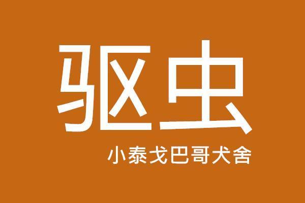 TX两只幼小犬的拜宠清驱虫