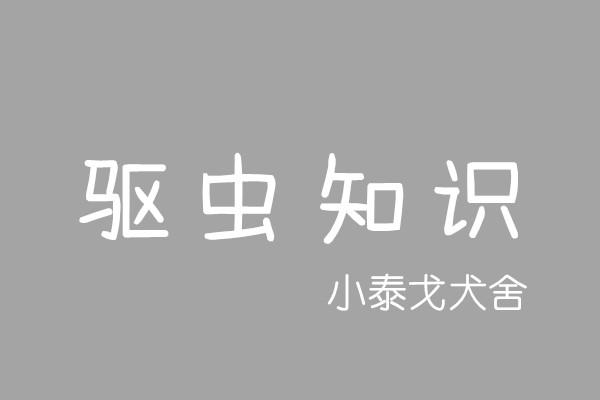 硕腾大宠爱内外一体驱虫药驱虫原理及使用说明