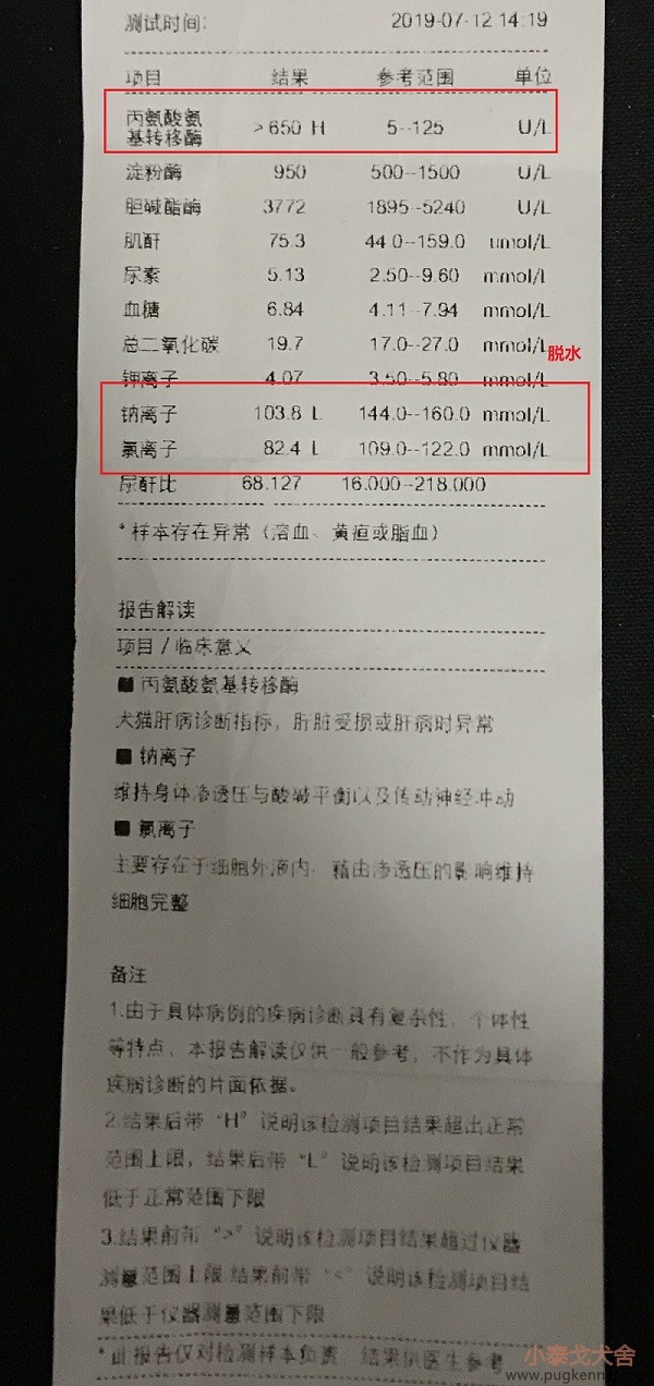 1563011458549549.jpg