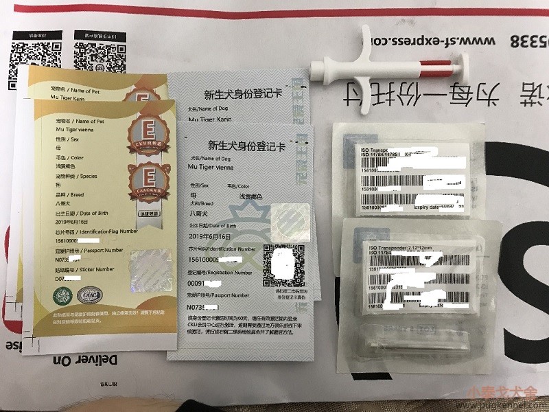 2019年8月11日收到TT1的宠爱护照和芯片