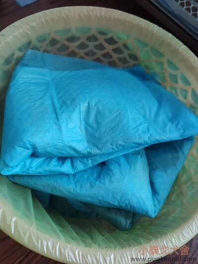 2019年第40周小泰戈巴哥犬舍周报-驱虫-疫苗