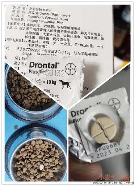 TX两只幼小犬的拜宠清驱虫