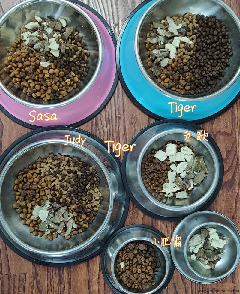 小泰戈犬舍2020年第13周周报