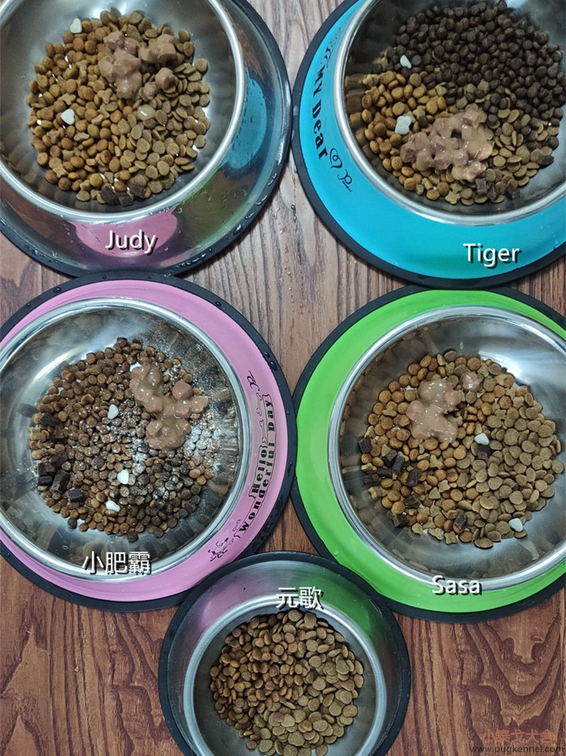 小泰戈犬舍2020年第14周周报