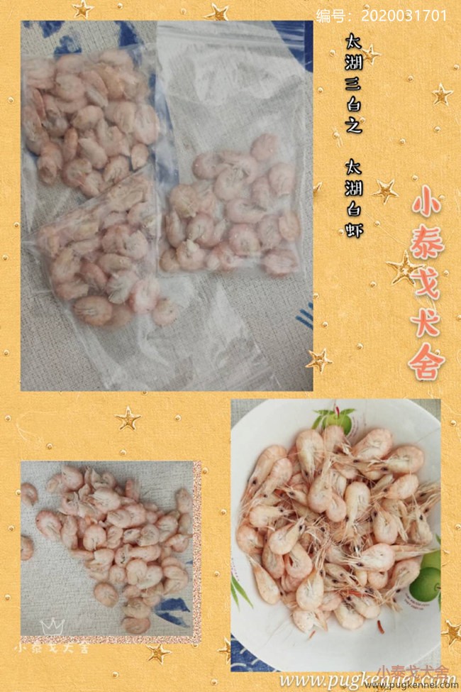 小泰戈犬舍3月-5月辅食制作记录