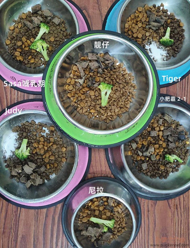 小泰戈犬舍2020年第25周周报
