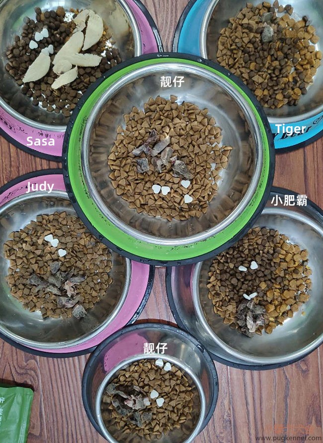 小泰戈犬舍2020年第25周周报