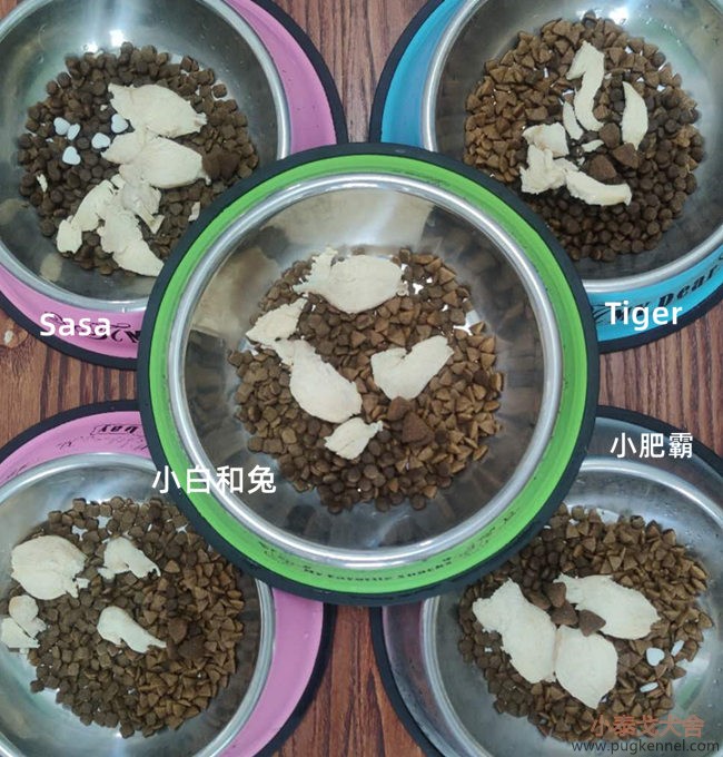 小泰戈犬舍2020年第26周周报