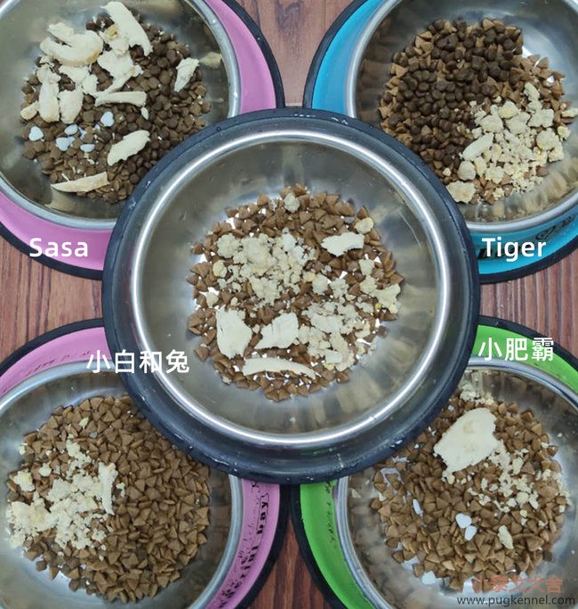 小泰戈犬舍2020年第26周周报