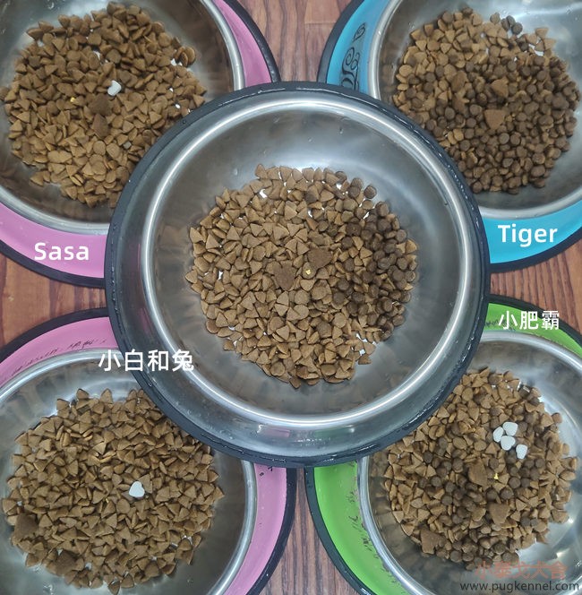 小泰戈犬舍2020年第26周周报