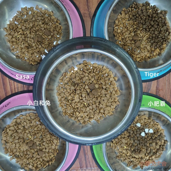 小泰戈犬舍2020年第26周周报