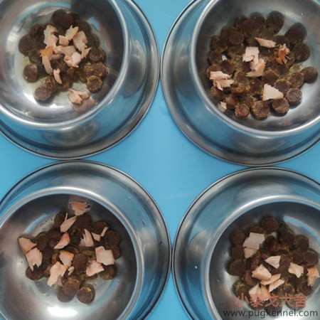 小泰戈犬舍2020年第26周周报