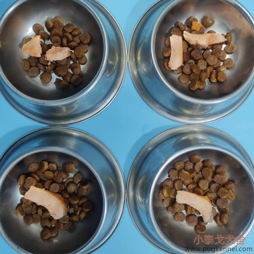 小泰戈犬舍2020年第27周周报