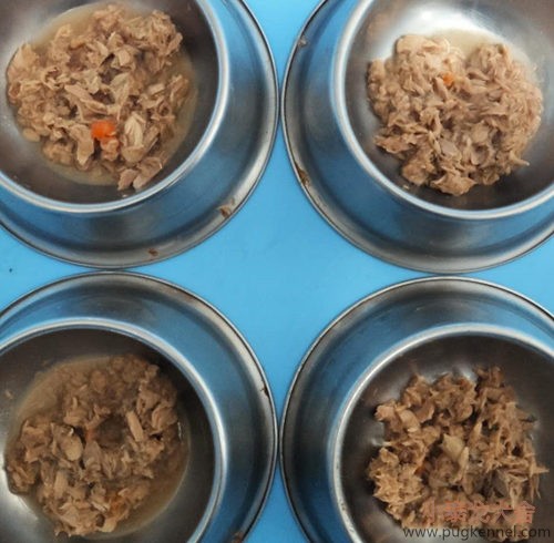 小泰戈犬舍2020年第28周周报