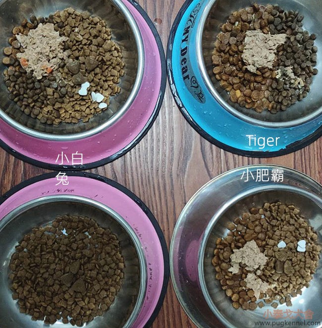 小泰戈犬舍2020年第31周周报