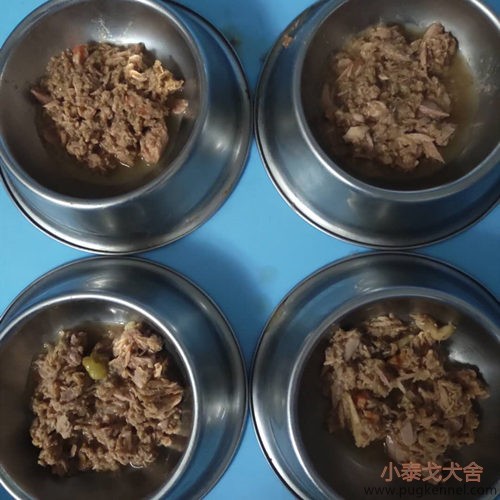 小泰戈犬舍2020年第31周周报