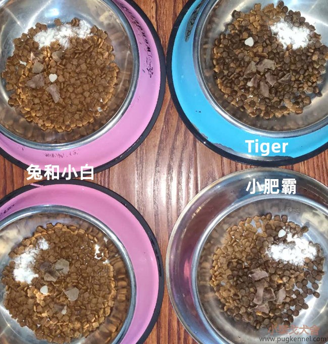小泰戈犬舍2020年第33周周报