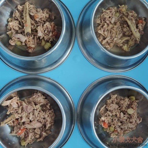 小泰戈犬舍2020年第33周周报