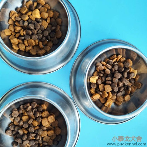 小泰戈犬舍2020年第34周周报