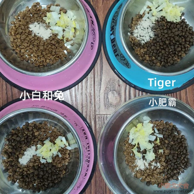 小泰戈犬舍2020年第35周周报