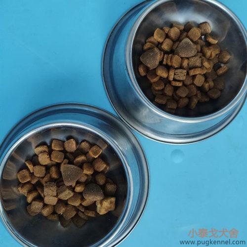 小泰戈犬舍2020年第35周周报