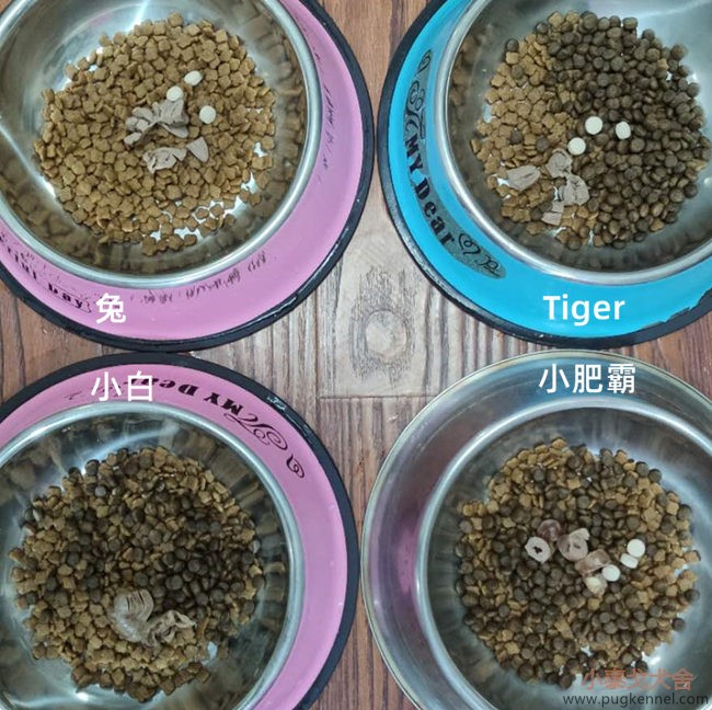 小泰戈犬舍2020年第35周周报