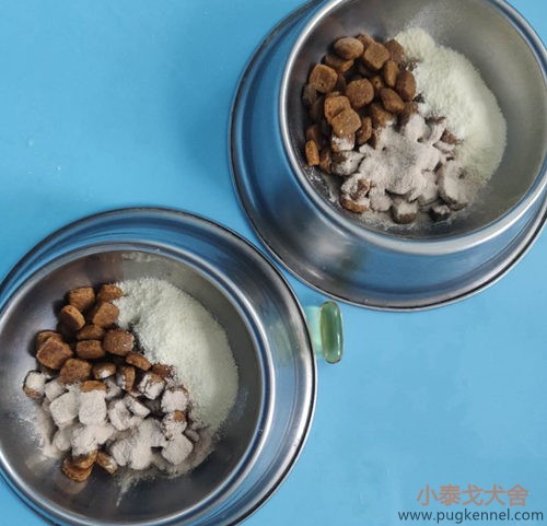 小泰戈犬舍2020年第35周周报