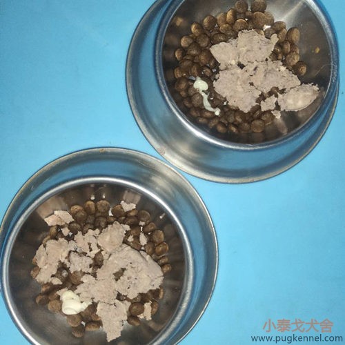 小泰戈犬舍2020年第36周周报