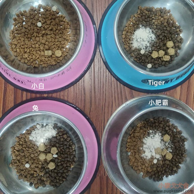 小泰戈犬舍2020年第36周周报