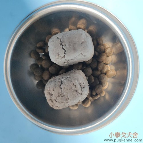 小泰戈犬舍2020年第36周周报