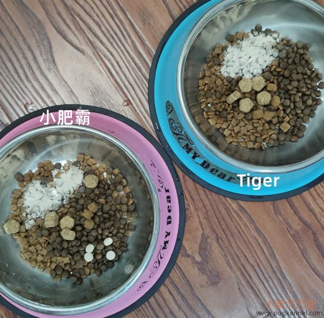 小泰戈犬舍2020年第36周周报
