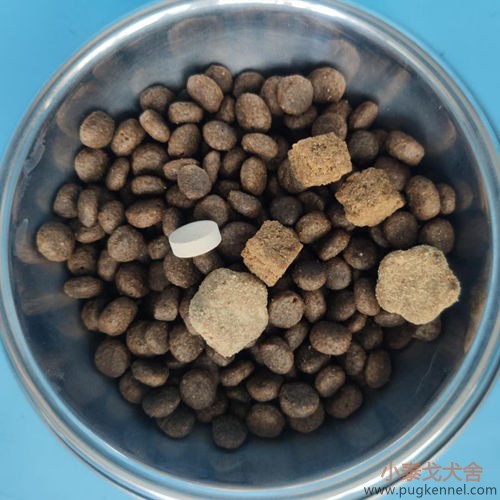 小泰戈犬舍2020年第37周周报