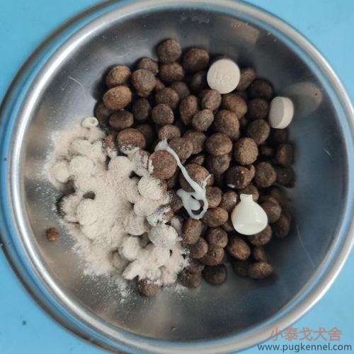 小泰戈犬舍2020年第37周周报