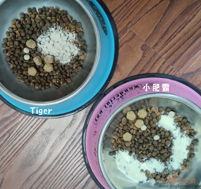 小泰戈犬舍2020年第37周周报