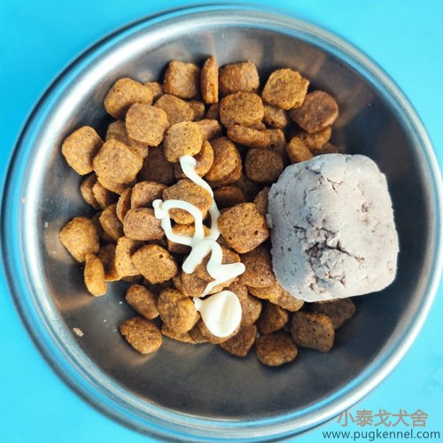 小泰戈犬舍2020年第37周周报
