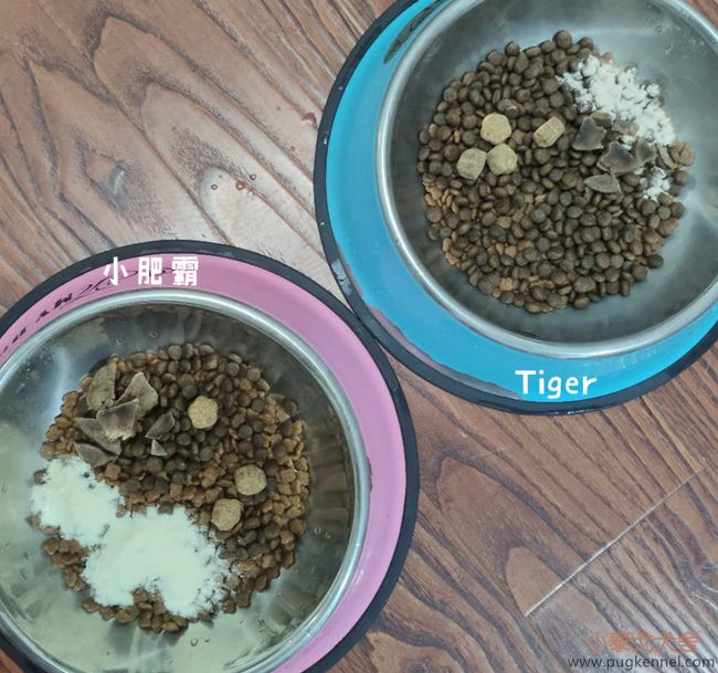 小泰戈犬舍2020年第37周周报