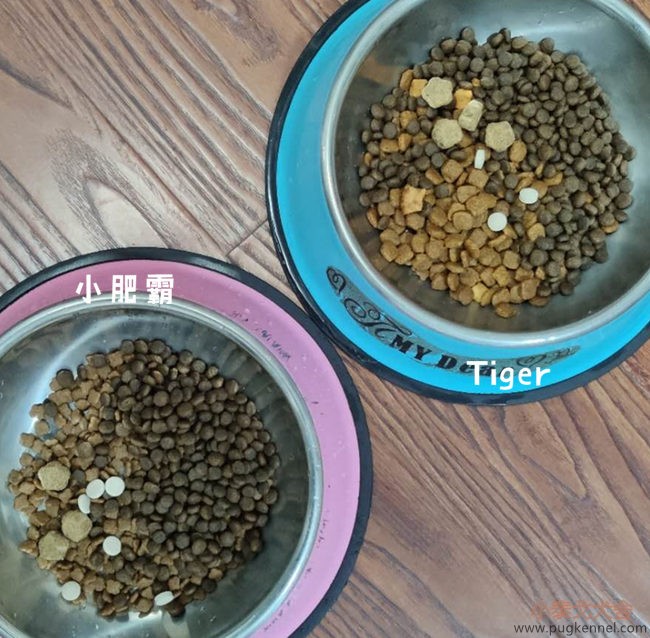 小泰戈犬舍2020年第37周周报