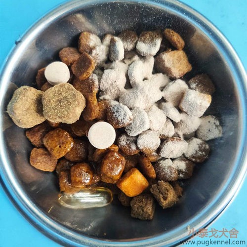 小泰戈犬舍2020年第37周周报