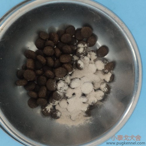 小泰戈犬舍2020年第37周周报