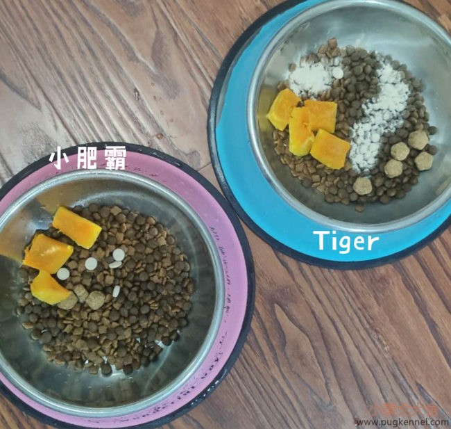 小泰戈犬舍2020年第37周周报