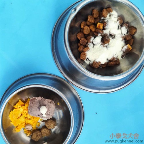 小泰戈犬舍2020年第40周周报