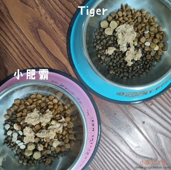 小泰戈犬舍2020年第40周周报