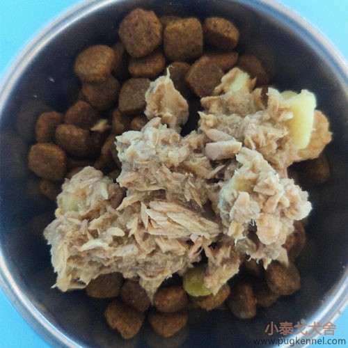小泰戈犬舍2020年第40周周报