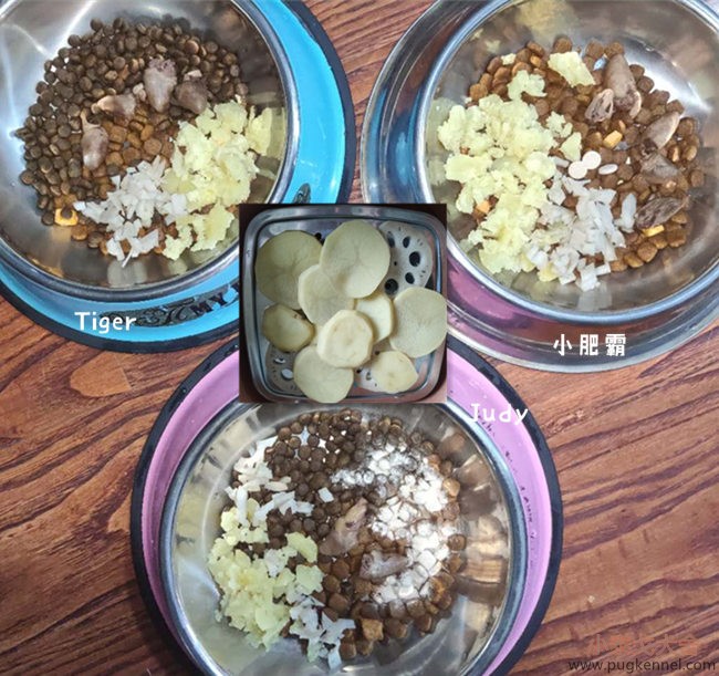 小泰戈犬舍2020年第42周周报