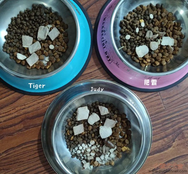 小泰戈犬舍2020年第42周周报