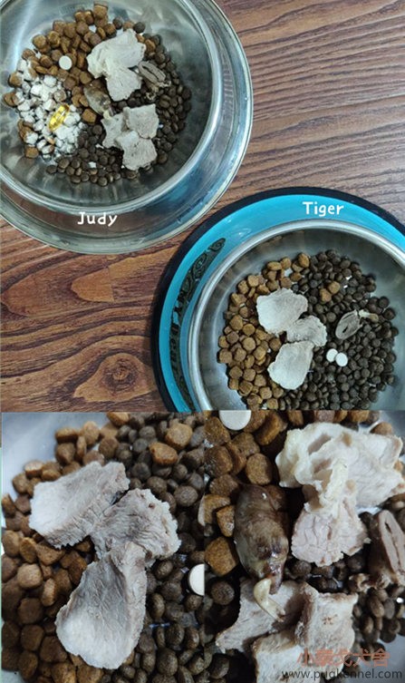小泰戈犬舍2020年第42周周报